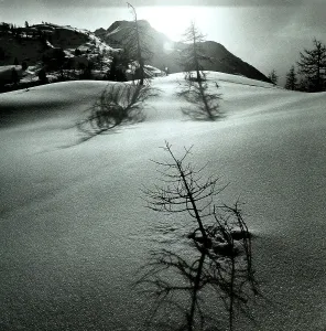 Waldengadin, Morteratsch