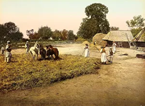 Rural Farm Life Drucke: Corn threshing in Bosnia