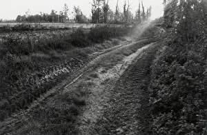 Farmland Vegetation Drucke: In the country of Barbata