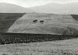 Landschaft der Campagna