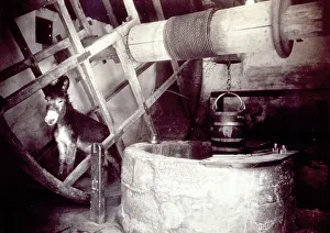 Der Mechanismus für den Schwarzwinkel gezogen von einem Esel