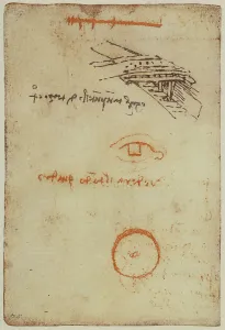 European Renaissance Period Drucke: Drawing from the Codex Forster II, c