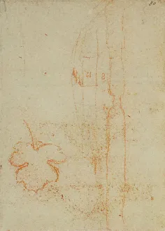 Renaissance Style Drawing Drucke: Drawing from the Codex Forster III, c