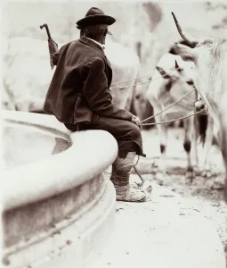 Rural Italy Photography Drucke: Farmer
