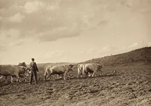Farming Landscape Images Drucke: Farmer with cows