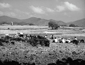 Farming Landscape Drucke: Field-workers taking a break