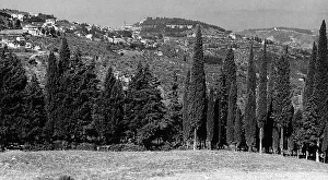 Rolling Hills Photography Drucke: Fiesole