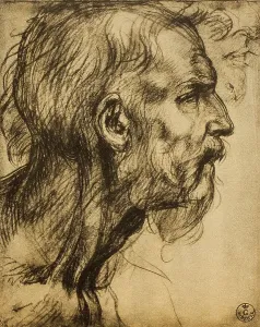 Testa del profeta Zaccaria, Andrea del Sarto