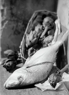 Fisch und Artischocken; ein Fotostudio