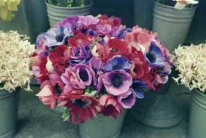 Vintage Flower Arrangements Drucke: Flower pots