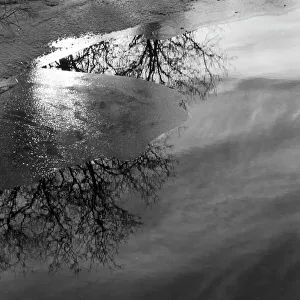 Ice Landscape Photography Drucke: Frozen lake