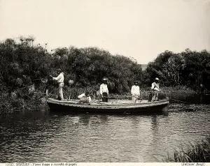 River Course Landscape Photo Drucke: The gathering of papyri on the Anapo River in Syracuse