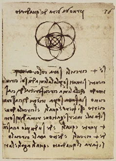 High Renaissance Drawings Drucke: Geometric study on the intersection of circles and squares