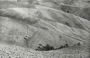 Italian Countryside Landscape Photo Drucke: Harvesting in the fields