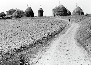 Italian Rural Landscape Photography Drucke: Haystacks