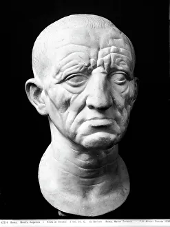Human Body Studies Drucke: Head of an elderly man found at Otricoli; the work