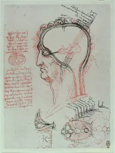Anatomische Zeichnung der Augenanatomie und des Kopfes, disegno a penna e a sanguigna su carta bianca.