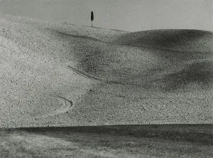 Hilly Countryside Drucke: Hilly landscape