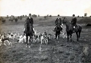 Jagd nach dem Wolf von Rom