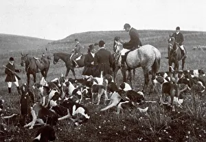 Dog Breeds For Hunting Drucke: Hunting on pause