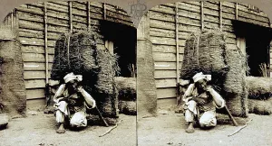 Country Life Scene Drucke: A Korean farmer loading hay