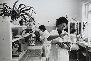 Female Lab Technician Drucke: Laboratory experiments