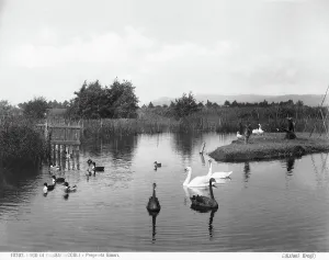Lago di Massaciuccoli