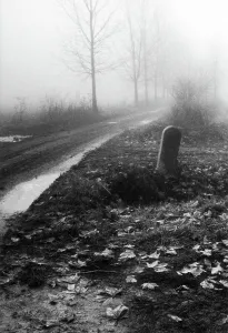Landschaft in der Nebel