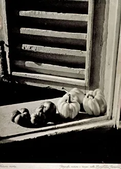 Tomato Still Life Drucke: Still life study: on a window sill