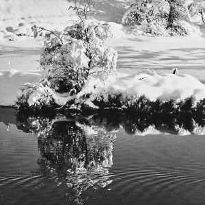 Engadiner Neve in Engadin (Licht und Schatten)