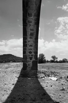 Historic Building Elements Drucke: Masonry arch