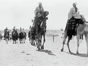 Männer auf Kamelen, Ägypten
