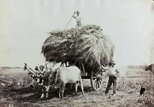 Peasant Farming Practices Drucke: Two men with a wagon load of hay