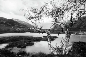 European Mountain Lakes Drucke: Mountain lake
