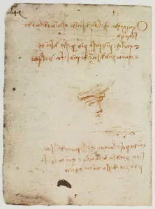 Betrachtungen über die Schwerkraft und den Fall von Körpern; Blatt aus dem Codex Forster II, c.65v