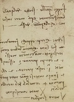 Renaissance Artist Leonardo Da Vinci Drucke: Notes on motion and light, writings from the Codex Forster III