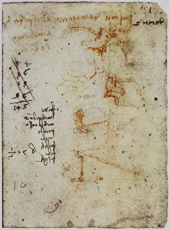 European Renaissance Periods Drucke: Notes on various subjects, page from the Codex Forster II