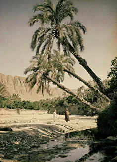 "Al-Kantara"
