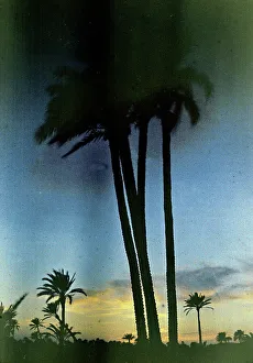 Marrakesh