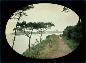 Landscape Photography Of Trees Drucke: Panorama of Dinard