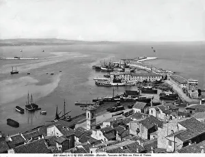 Italian Coastal Architecture Drucke: Panoramic view of the port of Ancona