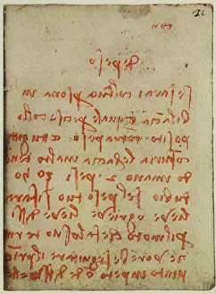 High Renaissance Artwork Drucke: Physics observations, writings from the Codex Forster II
