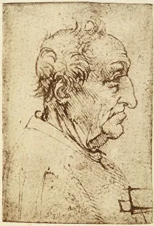 High Renaissance Style Drucke: Profile of an elderly man