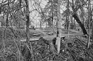 Botanical Garden Images Drucke: Public park