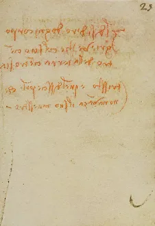High Renaissance Artwork Drucke: Reflections and notes, writings from the Codex Forster III