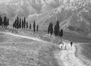 Country Road Landscape Photography Drucke: Returning from the fields