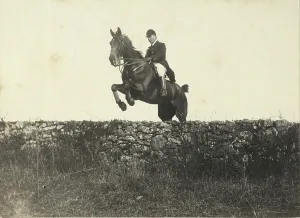 Horse Riding Competition Drucke: Rider performs a jump