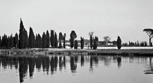 Landscape Of River Courses Italy Drucke: River landscape