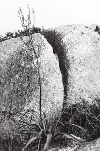 Rock Formations In Sardinia Drucke: Rocks in Sardinia