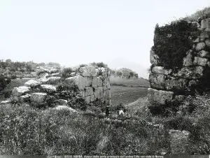 Norba